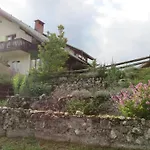 Apartma Biofit * Блед