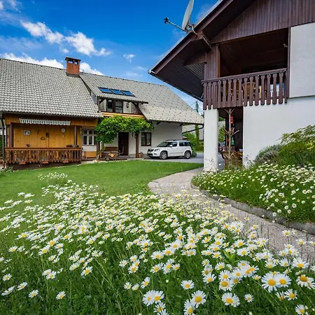 Apartma Biofit Apartment Bled