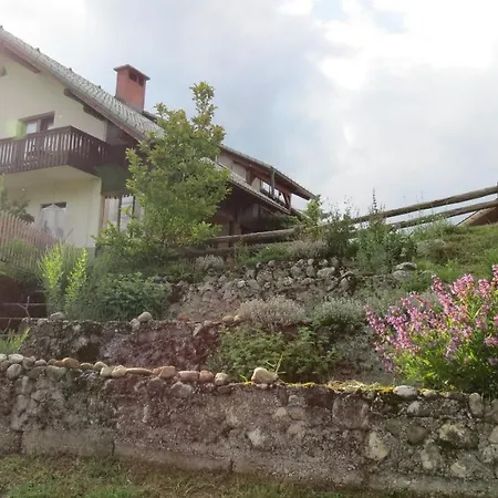 Apartma Biofit * Bled