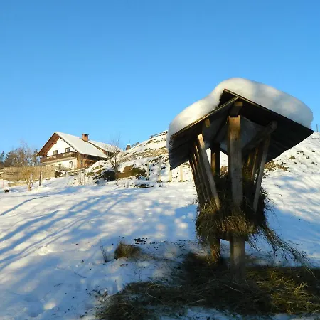 Apartma Biofit Apartment