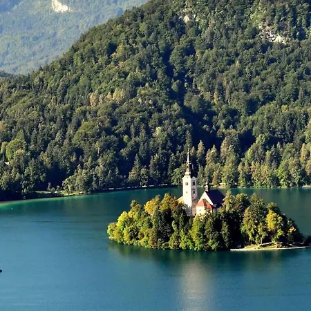 Apartment Apartma Biofit Bled