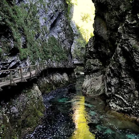 Apartment Apartma Biofit