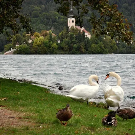 Apartma Biofit Апартаменты *