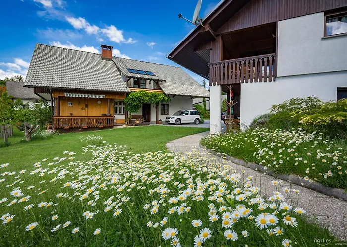 Apartma Biofit 公寓 布莱德