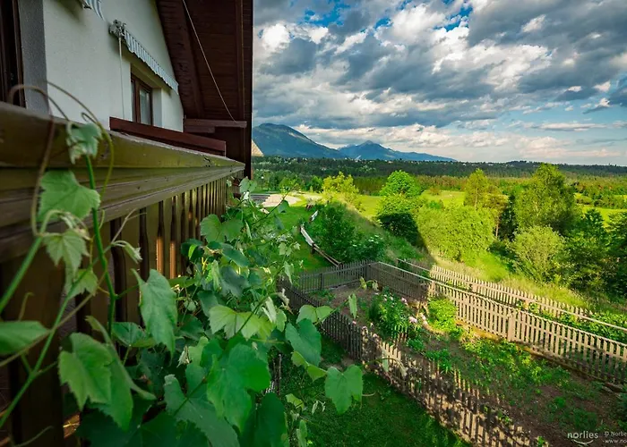 Apartma Biofit ブレッド