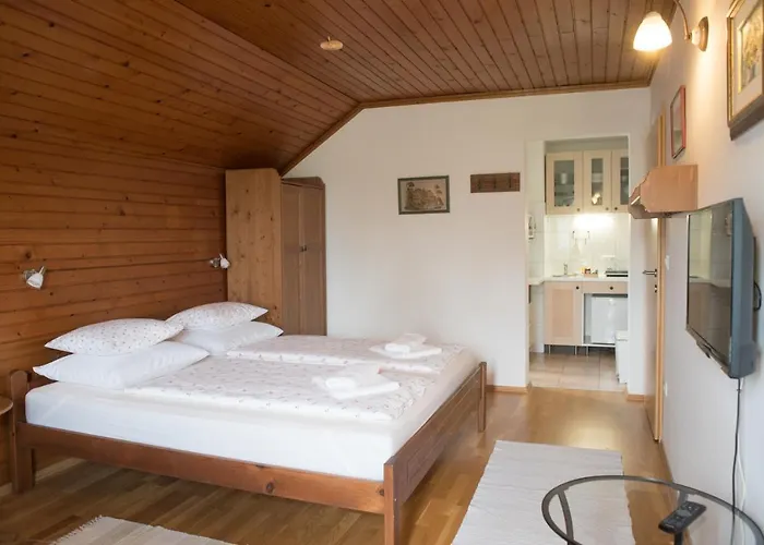 Apartma Biofit 公寓