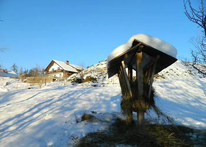 Apartma Biofit 公寓