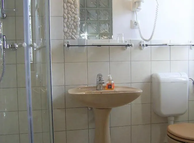 Apartma Biofit 公寓 布莱德