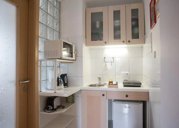 Apartma Biofit 公寓 *