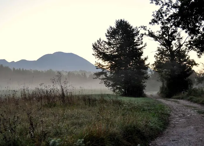 Apartma Biofit アパート *