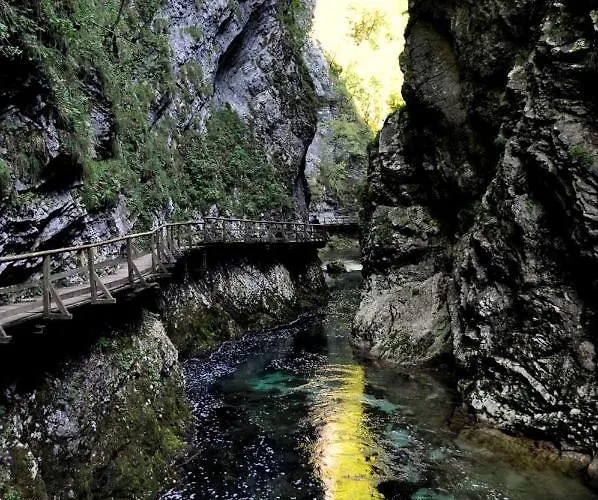 公寓 Apartma Biofit