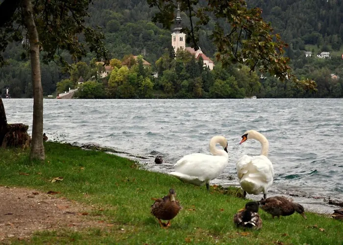 Apartma Biofit 公寓 *