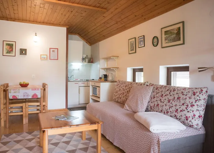 Apartma Biofit 公寓