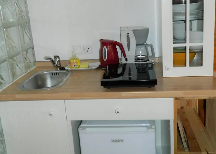 公寓 Apartma Biofit 布莱德